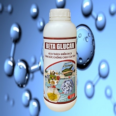 BETA GLUCAN