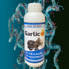 Garlic Oil