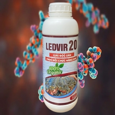 LEDVIR 20