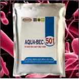 AQUA-BEC 501