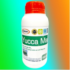 Yucca Max